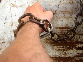 FreeImages.com Content License