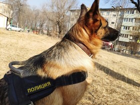 Фото с сайта дфоут.мвд.рф