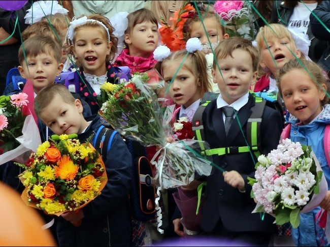 Петербуржцы стояли в алогичных очередях на запись детей в школы