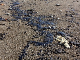 Фото с сайта sudak.rk.gov.ru