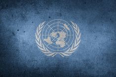 Три страны предложили созвать СБ ООН из-за насилия в сирийском Идлибе