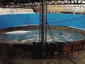 Фото Натальи Макеевой