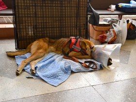 Фото Светланы Васильевой