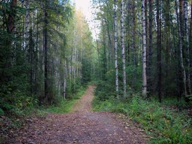 Фото ИА «Росбалт», Иван Шалёв