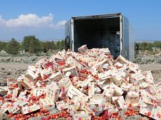 Фото с сайта fsvps.ru Фото с сайта fsvps.ru
