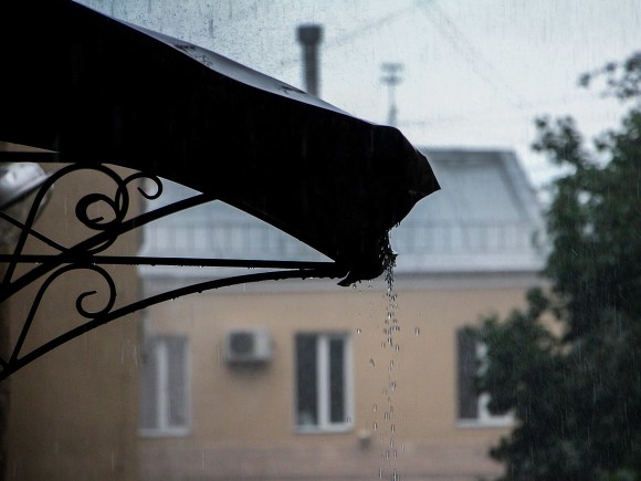В Петербурге умеренный дождь и северный ветер