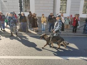 Фото ИА «Росбалт», Дмитрий Глебов