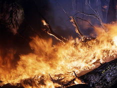 На Алтае с лесными пожарами борются с помощью воздушного крестного хода