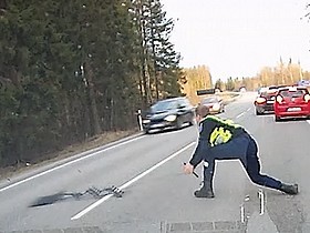 Стоп-кадр видео