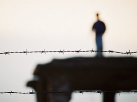 FreeImages.com Content License