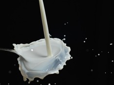 На калининградской таможне сожгли центнер молочной продукции из Польши
