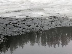 Фото ИА «Росбалт»