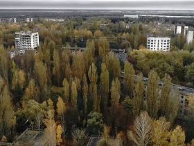 Стоп-кадр видео