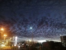Фото ИА «Росбалт», Наталья Станэску