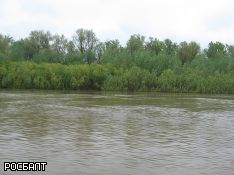 В реке на севере Петербурга утонул молодой мужчина