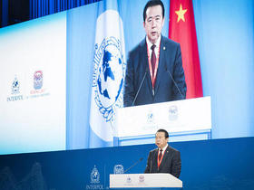 Фото с сайта <a href="https://www.interpol.int/">Интерпола</a>