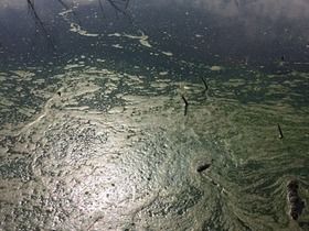 Фото Михаила Абрамяна