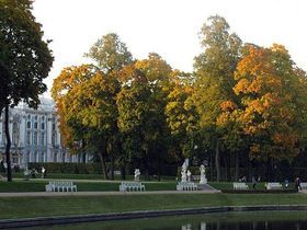 Фото ИА «Росбалт», Татьяна Хрулёва