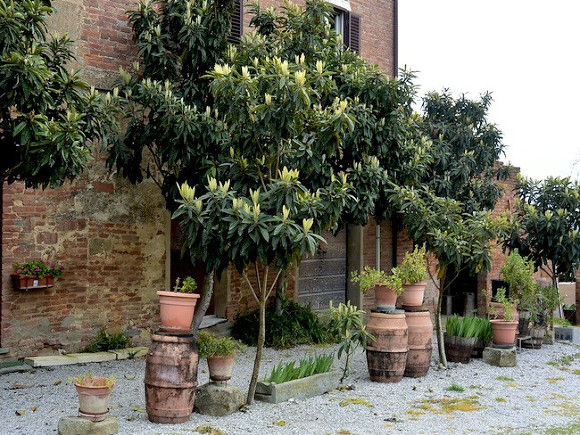 Фото ИА «Росбалт»