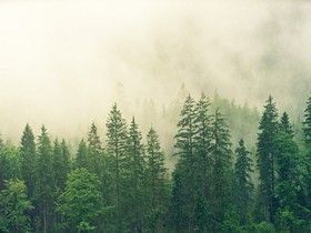 СС0 Public Domain