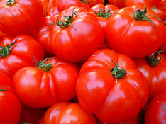 В Подмосковье обнаружили цех по изготовлению томатной пасты, где трудились почти 30 нелегалов