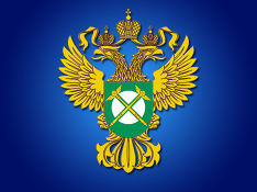 ФАС: Администрация губернатора Белгородской области попала под уголовное дело