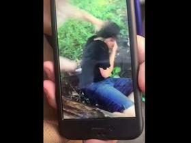 Стоп-кадр видео