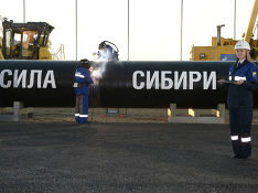 ФАС не получила ответа "Газпрома" на критику тендера на "Силу Сибири"