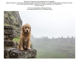 Скриншот