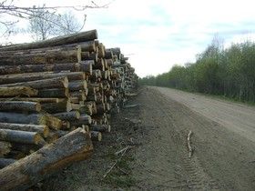 Фото Татьяны Литвиновой