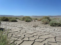  ������������ ������� ����� ����� 