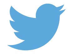 :  Twitter   20,5%