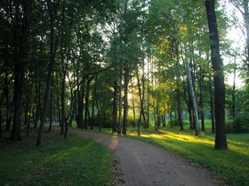 Фото Ивана Шалёва, ИА «Росбалт»