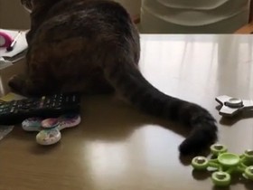 Стоп-кадр видео