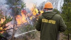 Оперативный штаб Рослесхоза поручил региональным лесным ведомствам стабилизировать пожарную обстановку