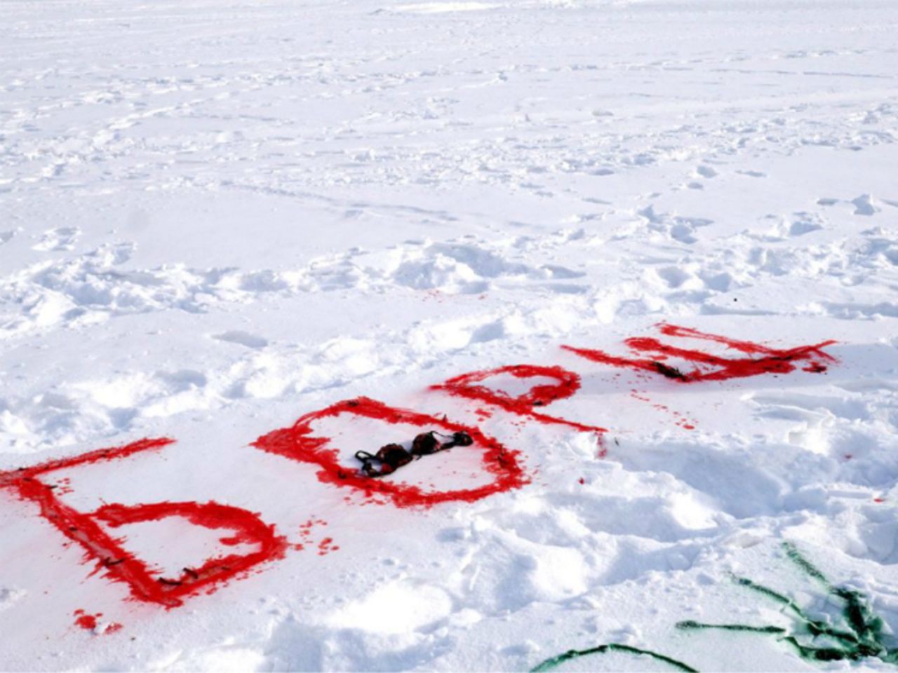 Надпись на снегу краской