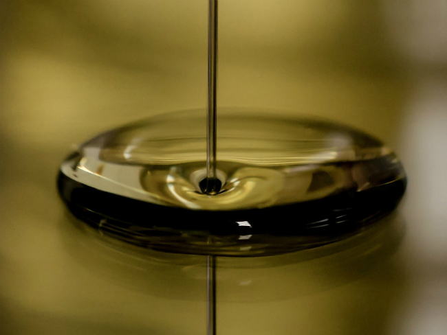 Total отчиталась лучше конкурентов