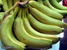 Фото Надежды Красновой Фото Надежды Красновой