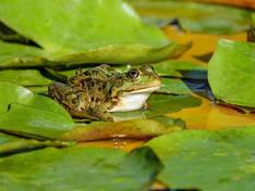  ���������� ������� �������� ����� ��� 