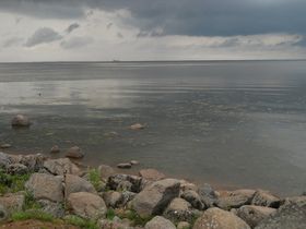 Фото Любови Костериной