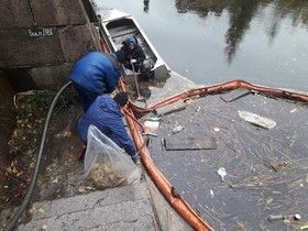 Фото Комитета по природопользованию, охране окружающей среды и обеспечению экологической безопасности Санкт-Петербурга