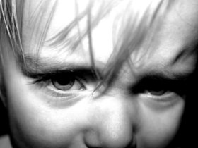 FreeImages.com Content License