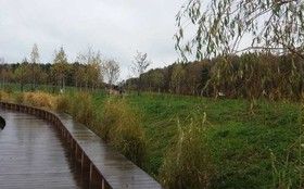 Фото ИА «Росбалт», Наталья Станэску