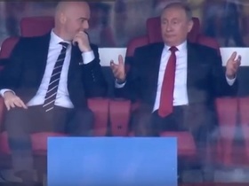 Стоп-кадр видео