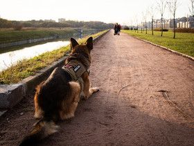Фото Александры Полукеевой, ИА «Росбалт»