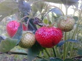 Фото Татьяны Кузнецовой