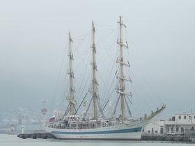 Фото Александра Калинина