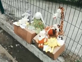 Стоп-кадр видео