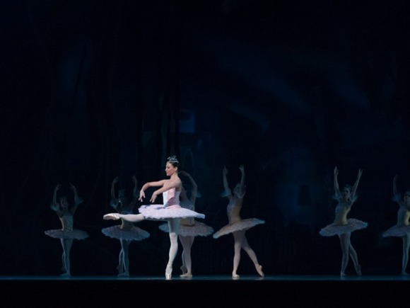      :     St Petersburg Festival Ballet