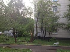 Москвичей предупредили о дожде и шквальном ветре в понедельник и вторник